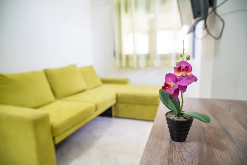 Feel Greek Elia Beach Apartments 5 - Photo #15