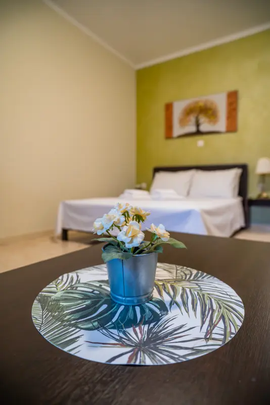 Feel Greek Elia Beach Apartments 3 - Photo #16