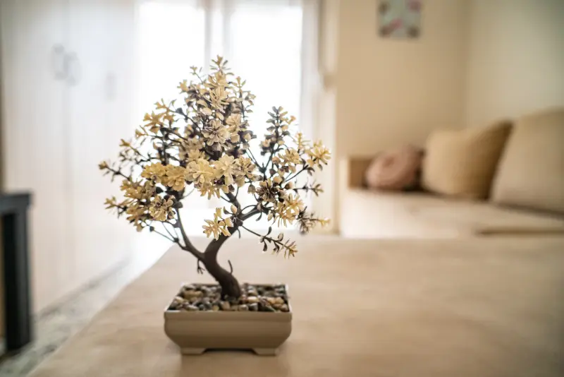 Seaside Serenity Feel Greek #X014 - Photo #11