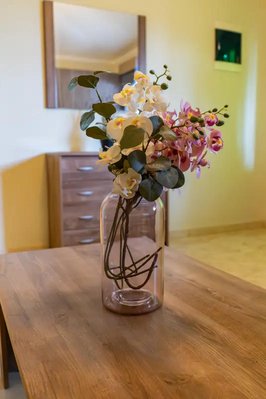 Feel Greek Elia Beach Apartments 2 - Photo #8