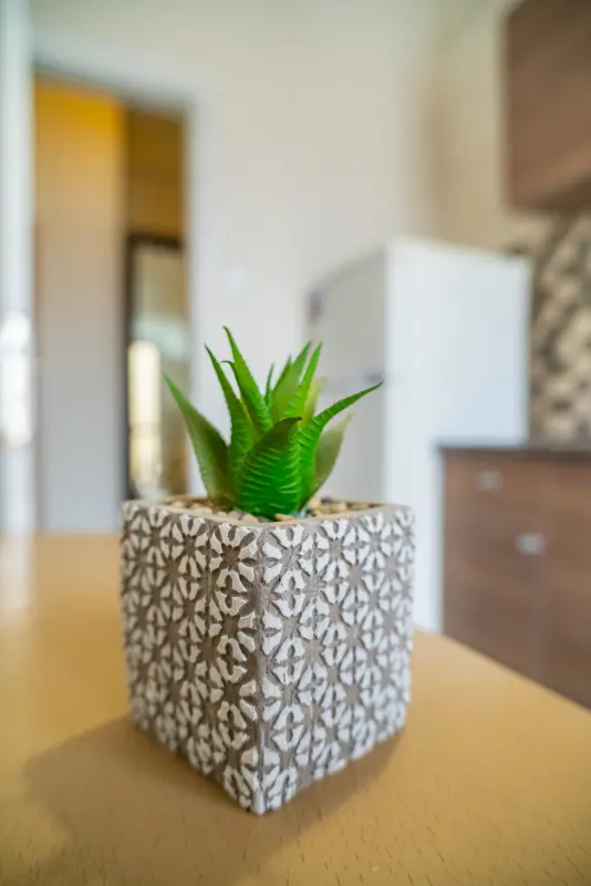 Seaside Serenity Feel Greek #X014 - Photo #37