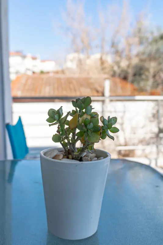 Feel Greek Blue & White Apartments B2 - Photo #22