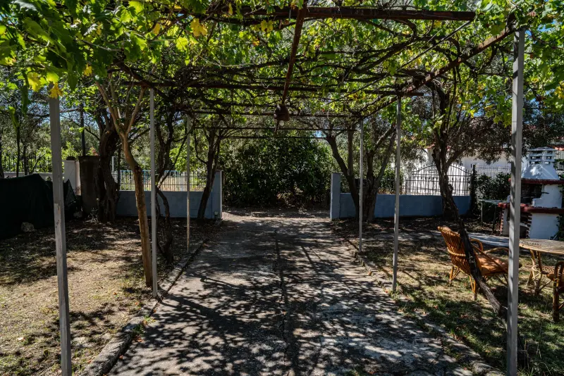 Feel Greek Hospitality #X009 - Photo #8