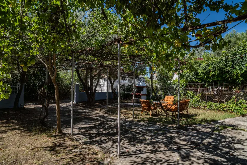 Feel Greek Hospitality #X009 - Photo #42