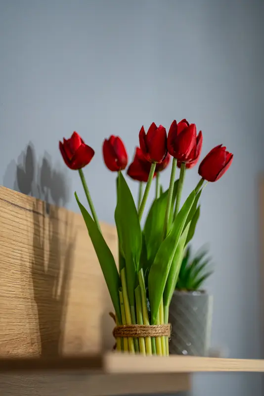 Feel Greek Hospitality #Θ006 - Photo #24