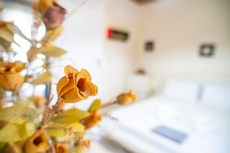 Feel Greek Hospitality #Χ013 - Photo #34