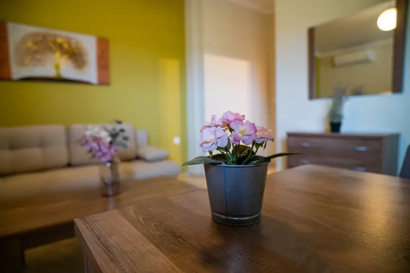 Feel Greek Elia Beach Apartments 2 - Photo #23