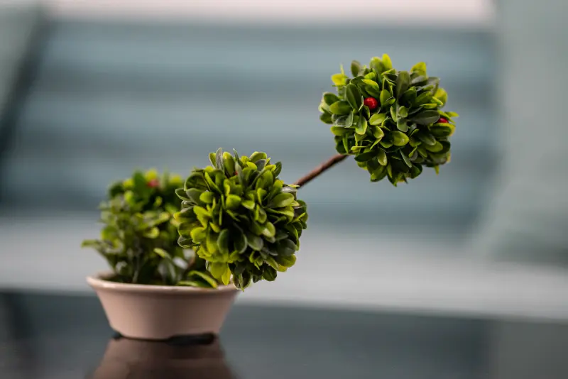 Feel Greek Hospitality #Θ006 - Photo #22