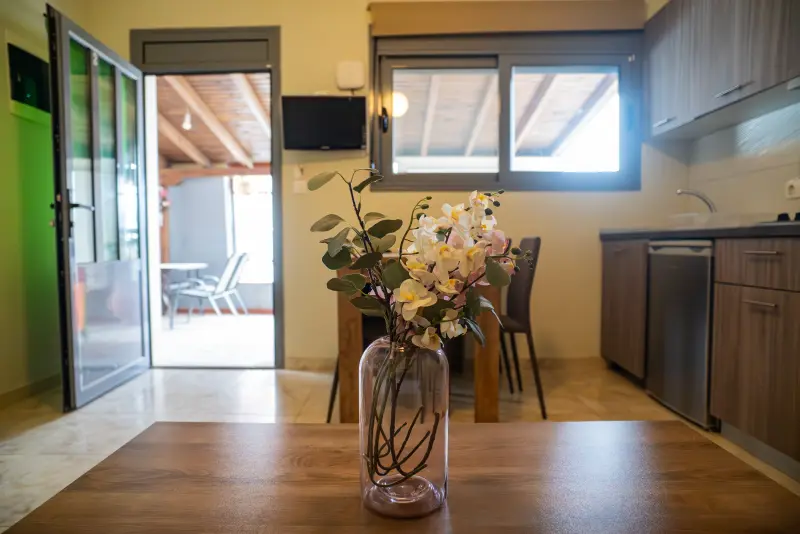 Feel Greek Elia Beach Apartments 2 - Photo #21