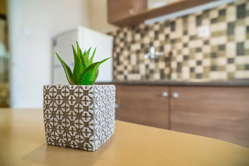 Seaside Serenity Feel Greek #X014 - Photo #34