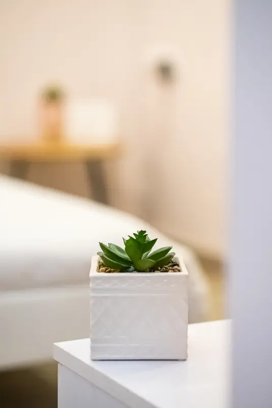 Feel Greek Hospitality #Θ001 - Photo #12