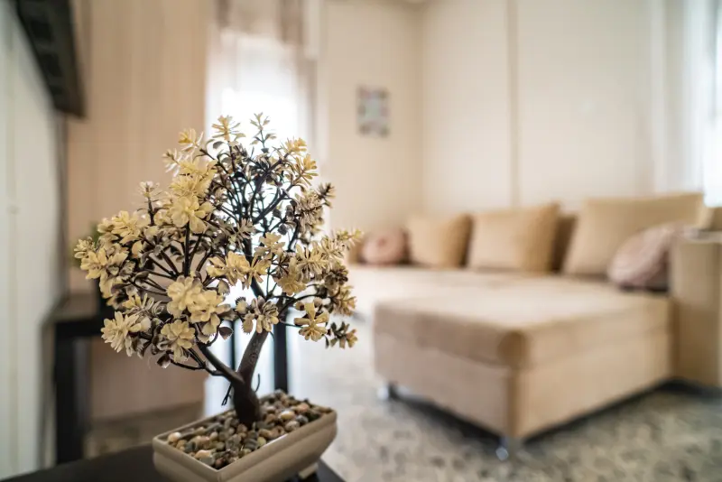 Seaside Serenity Feel Greek #X014 - Photo #20