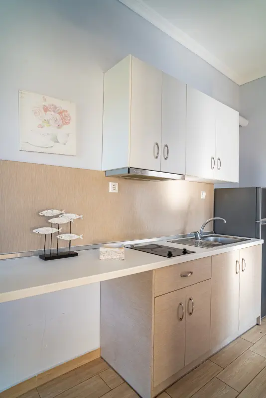 Feel Greek Blue & White Apartments A1 - Photo #20