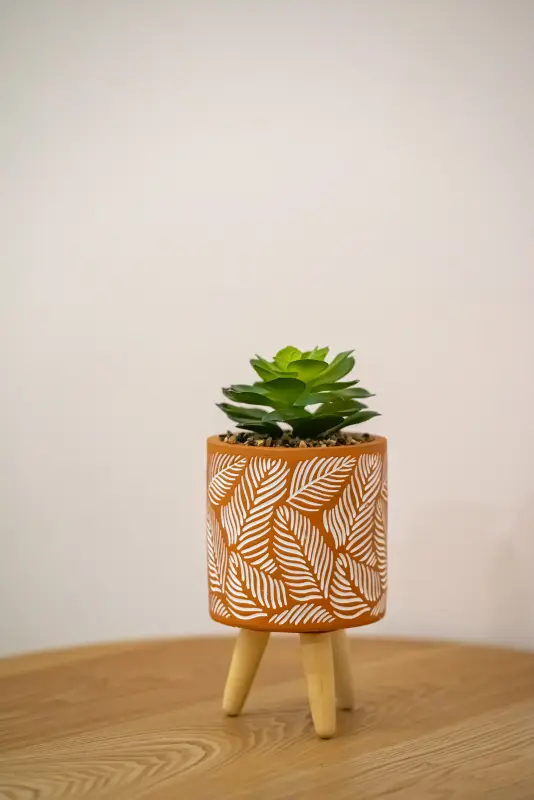 Feel Greek Hospitality #Θ001 - Photo #17